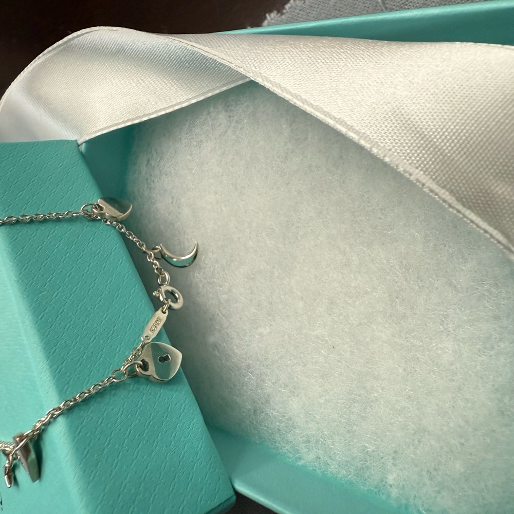Tiffany & Co. Silver 10 Mini Charm Bracelet - Picture 6 of 6